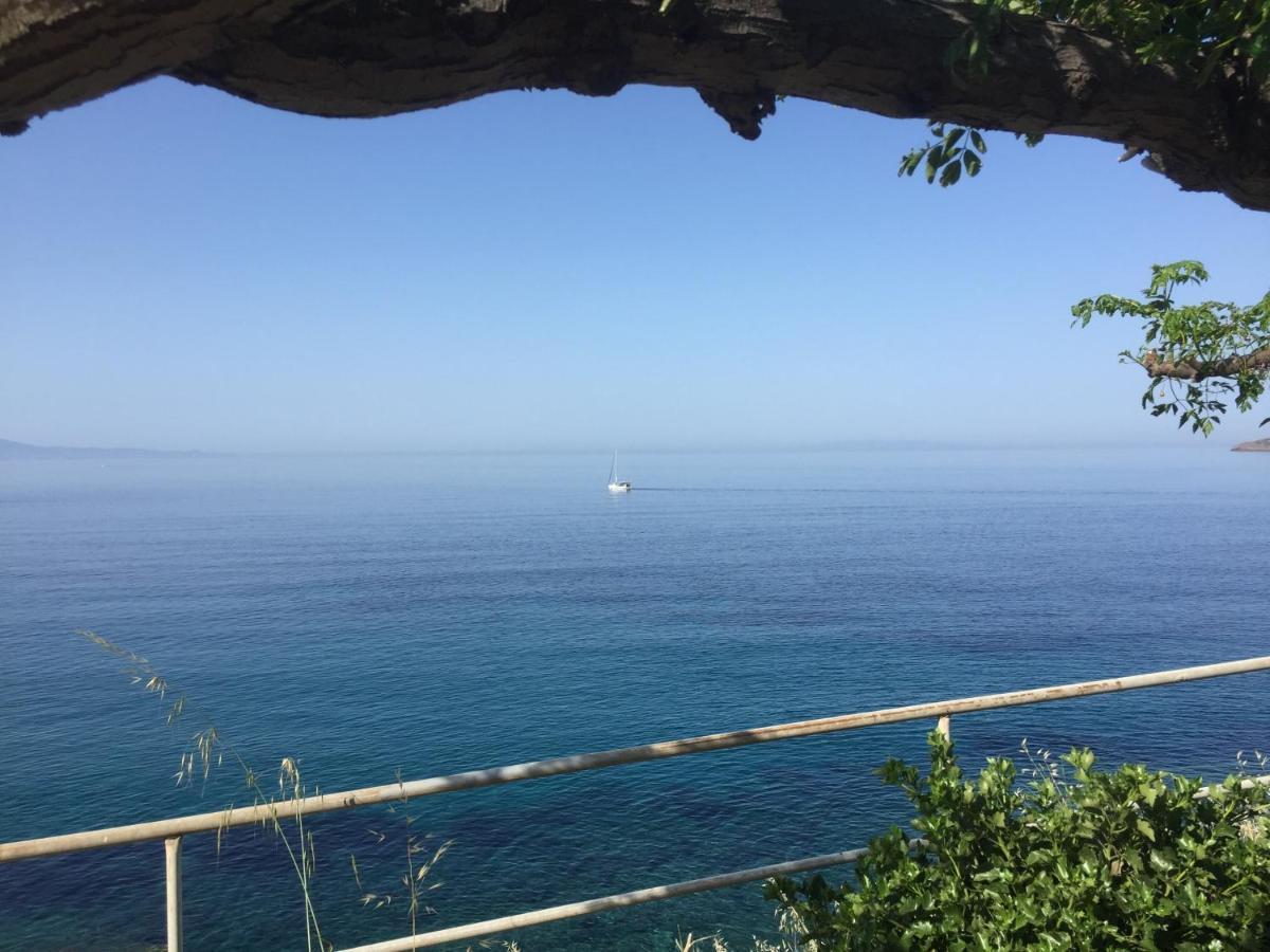 Villa Bonatsa Andros Home Баци Екстериор снимка